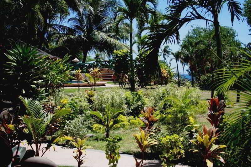 Aqua-Landia Resort Dauin Exterior photo